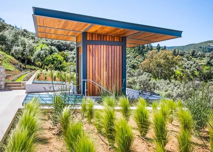 Beyond The Dream Villa